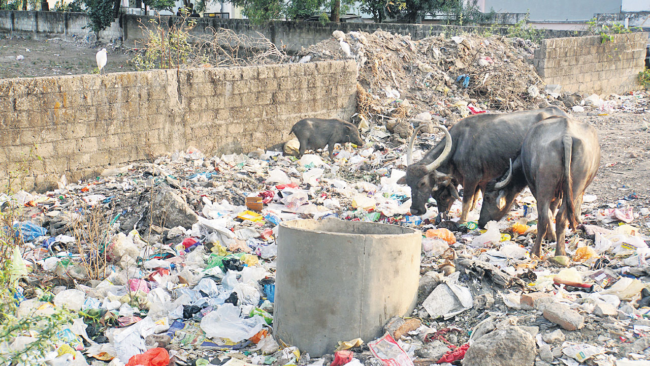 ఫొటో కొట్టు..కాలుష్యం పనిపట్టు..