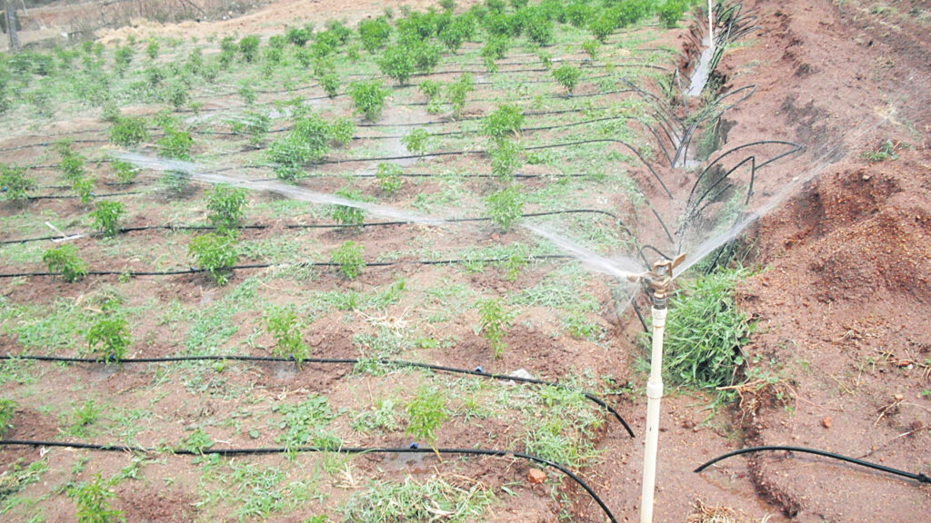 Irrigation Water