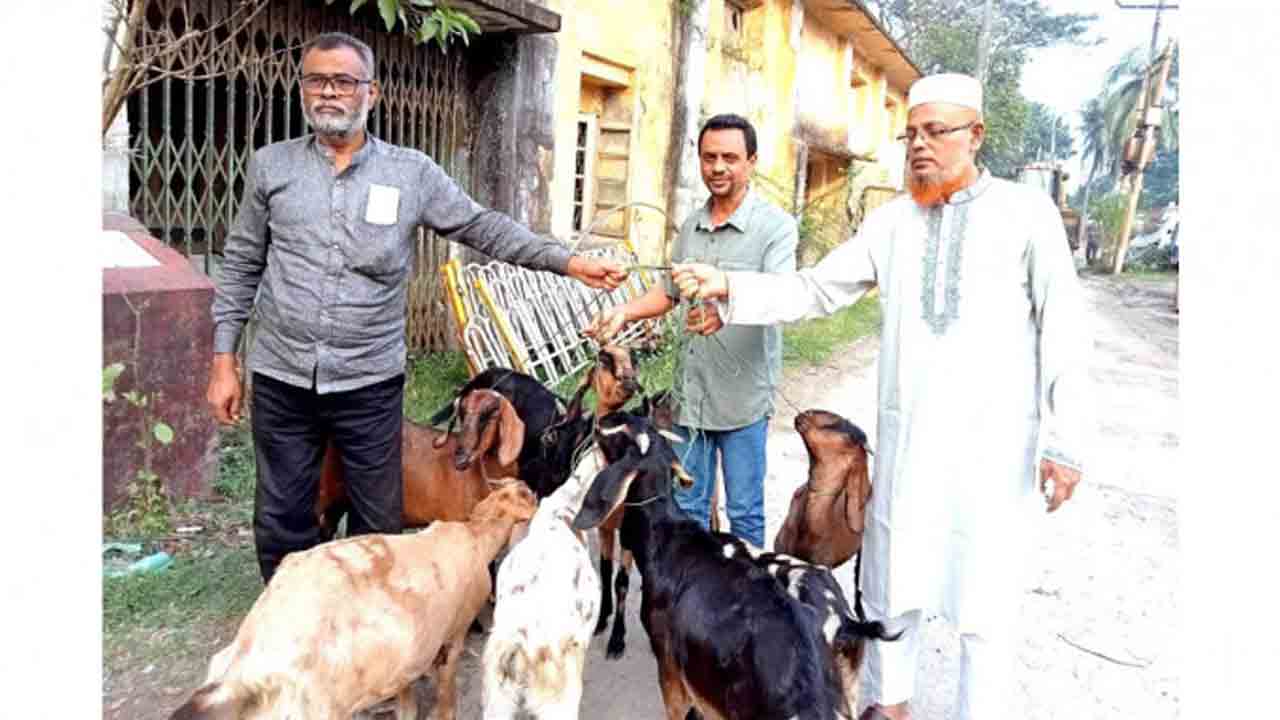 Jail for Goats | ఏడాది తర్వాత జైలు నుంచి విడుదలైన 9 మేకలు.. శిక్ష పడటానికి కారణమిదే