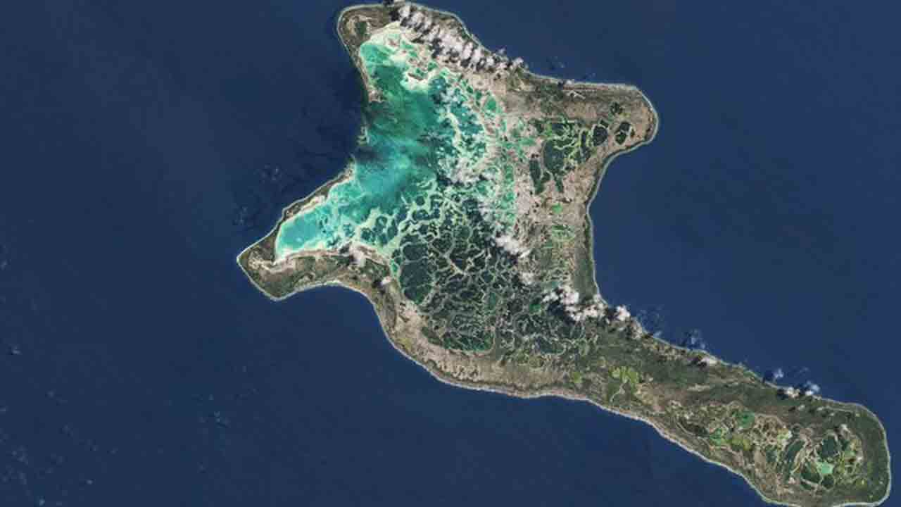 New year | న్యూ ఇయర్‌ వేడుకలు ఏ దేశంలో ముందు జరుగుతాయో తెలుసా..?