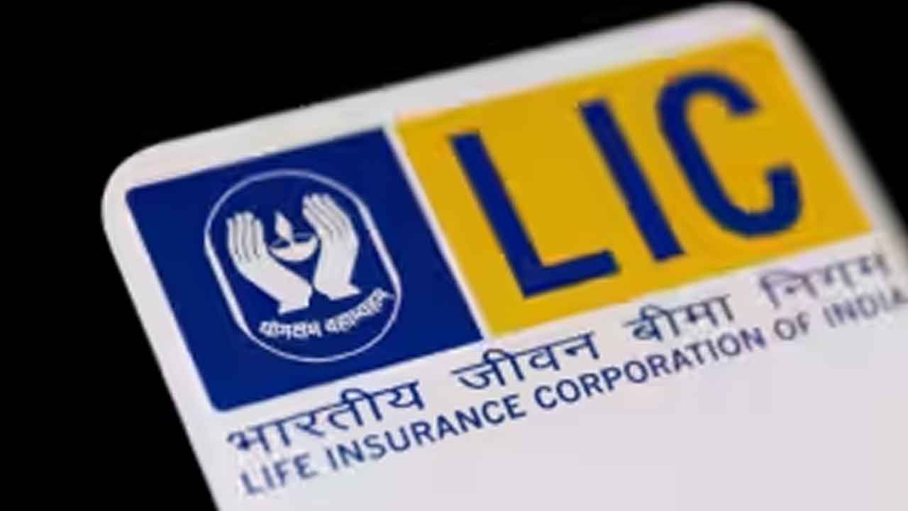 బుల్న్‌త్రో ఎల్‌ఐసీకి లాభాల పంట