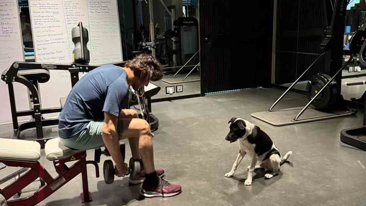 Mahesh Babu | జిమ్‌లో వర్కవుట్స్‌.. ట్రెండింగ్‌లో మహేశ్‌ బాబు స్టిల్స్‌