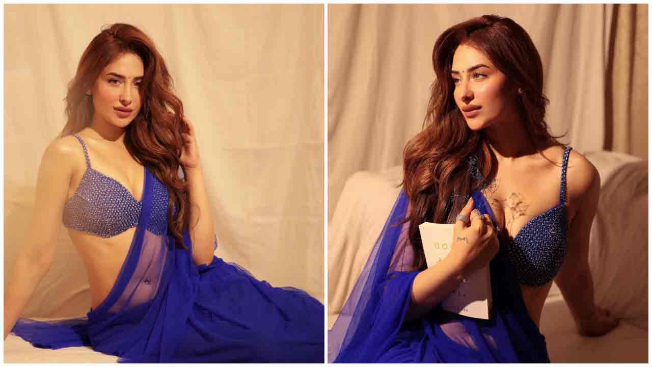 Mahira Sharma | బ్లూ కలర్ చీరలో హీటెక్కిస్తున్న మహిరా శర్మ..