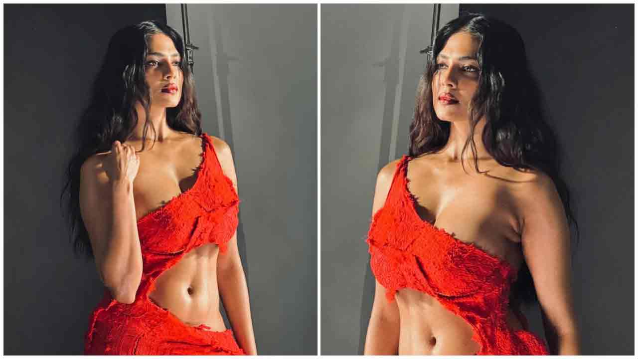 Malavika Mohanan | ఎరుపెక్కిన అందాలతో మతులు పోగొడుతున్న మాళవిక మోహనన్..