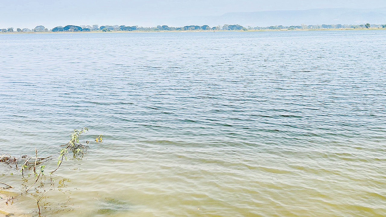 రైతన్నల కల్పతరువు..పెద్దపేట చెకువు