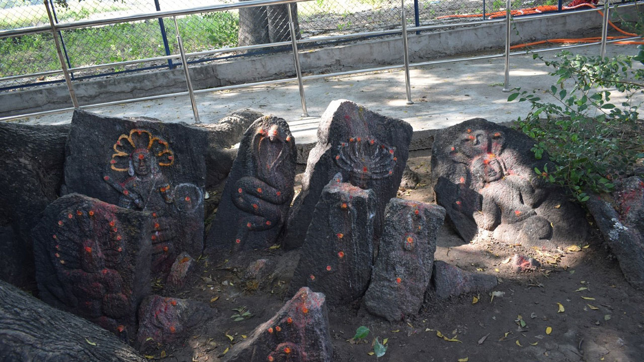 ఊరంతా నాగ ప్రతిమలే చారిత్రక గ్రామం నాగులపేట