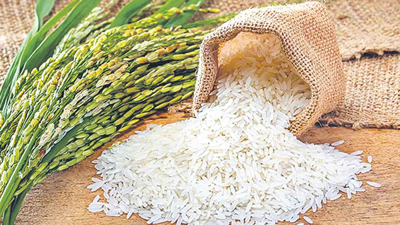 ఫోర్టిఫైడ్‌ రైస్‌ వినియోగం పెంపే లక్ష్యం