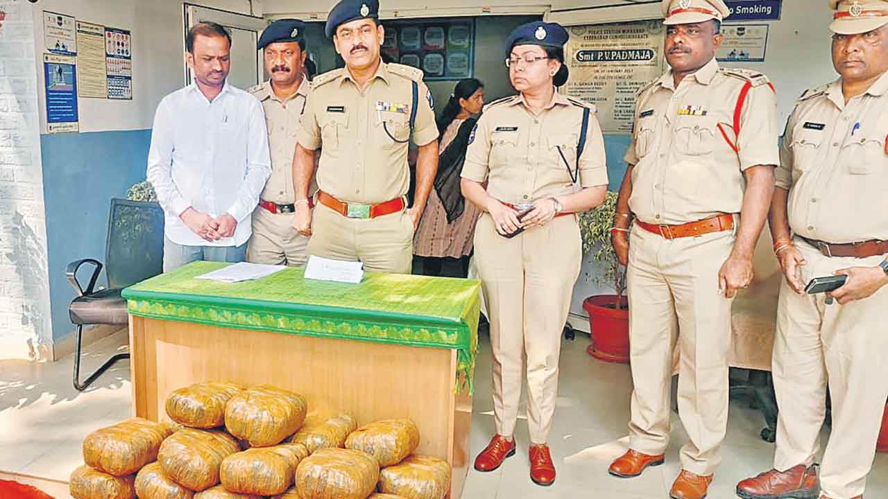 ఒడిశా నుంచి సరఫరా.. నగరంలో గంజాయి దందా