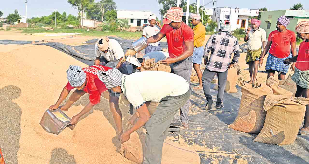 ధన్యం కొనుగోళ్లు ఘరూ..