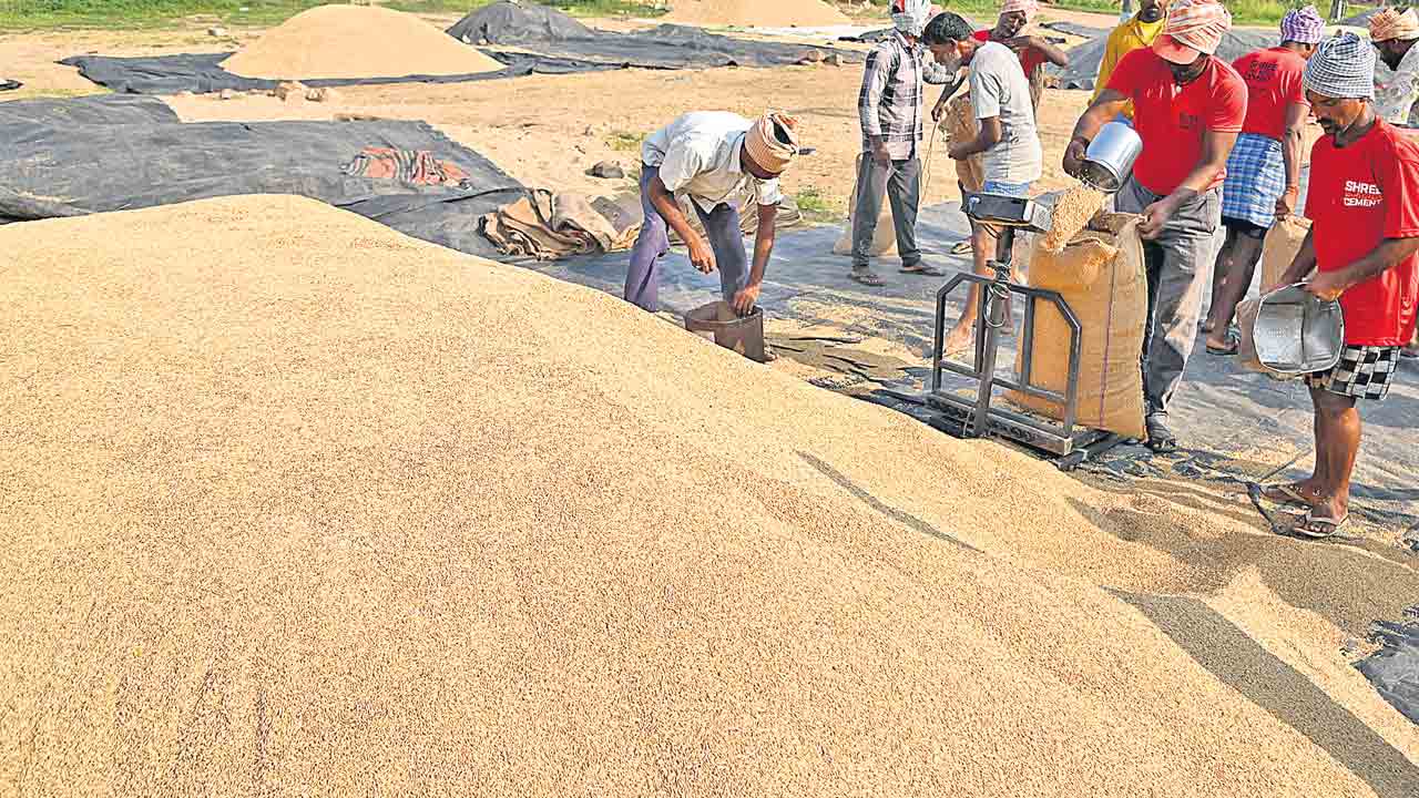 నెమ్మదిగా ధాన్యం కొనుగోళ్లు