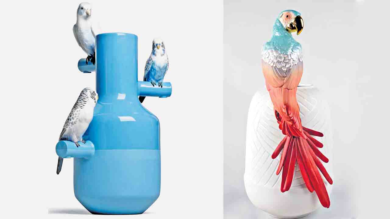 చిలుకలు వాలిన కప్పు!