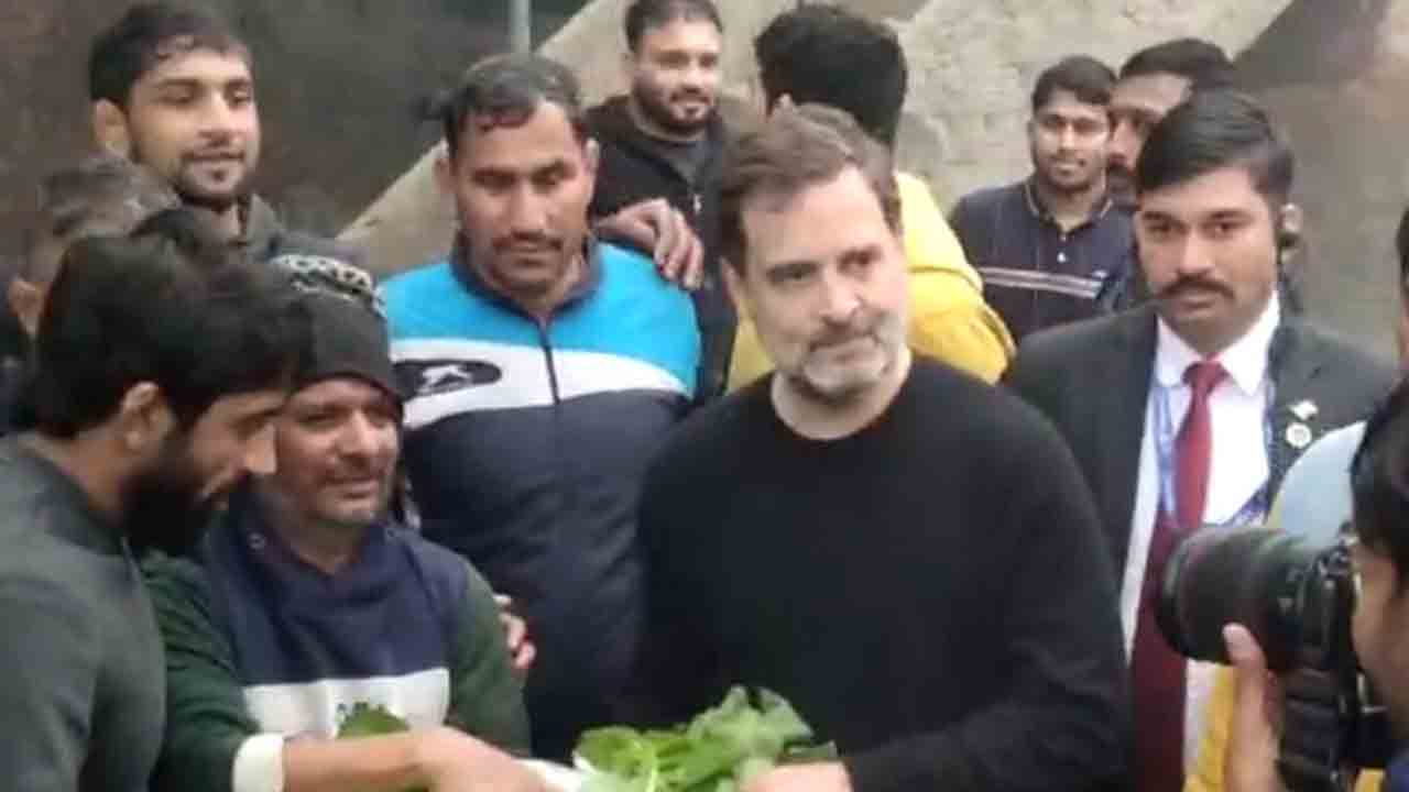 Rahul Gandhi | భారత రెజ్లర్లకు మద్దతు తెలిపిన రాహుల్‌ గాంధీ