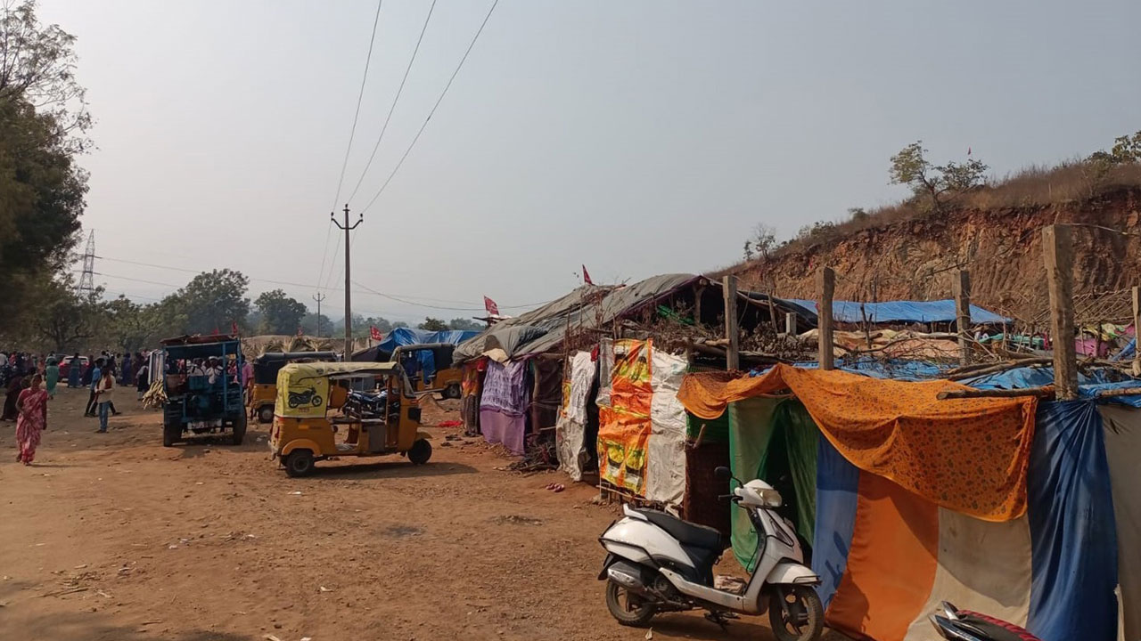 ప్రభుత్వ భూముల్లో షెడ్లు