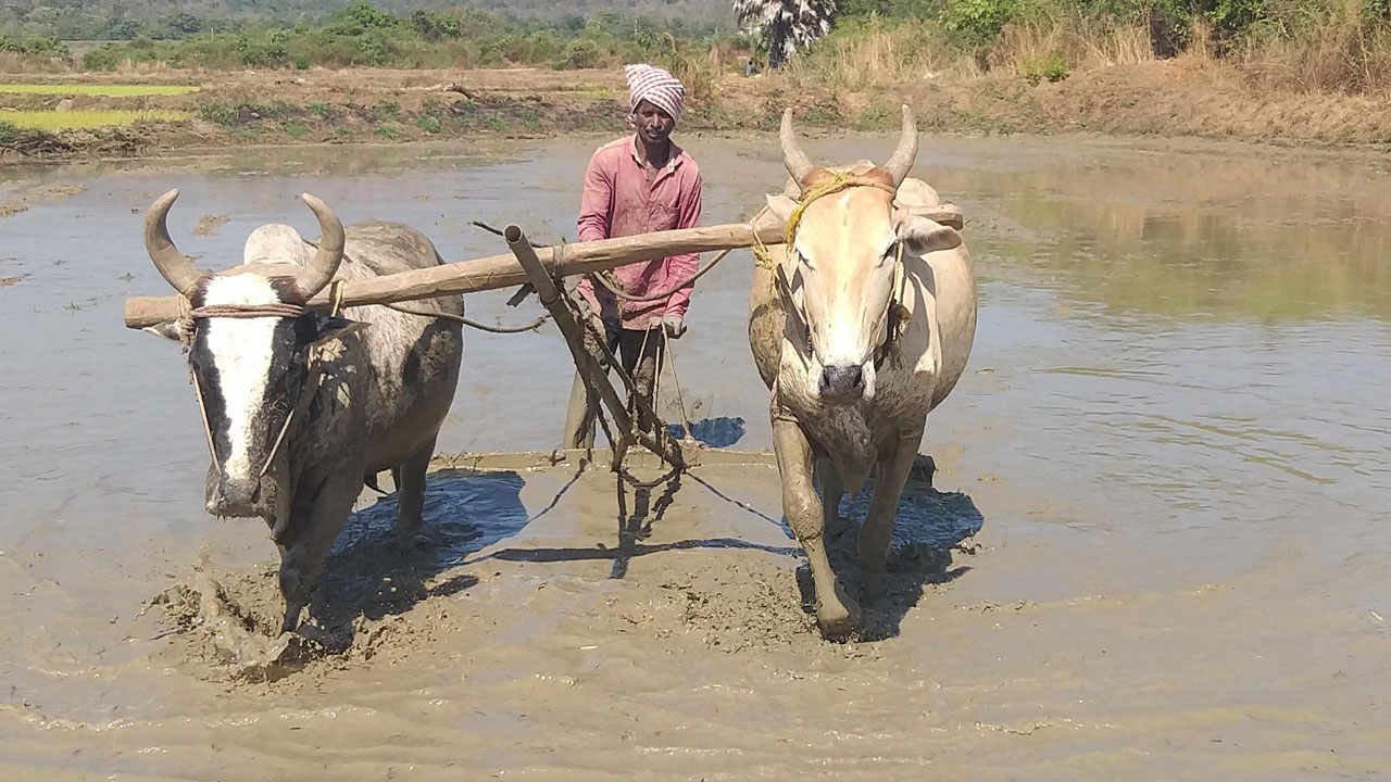 ఆశల సేద్యానికి రెడీ