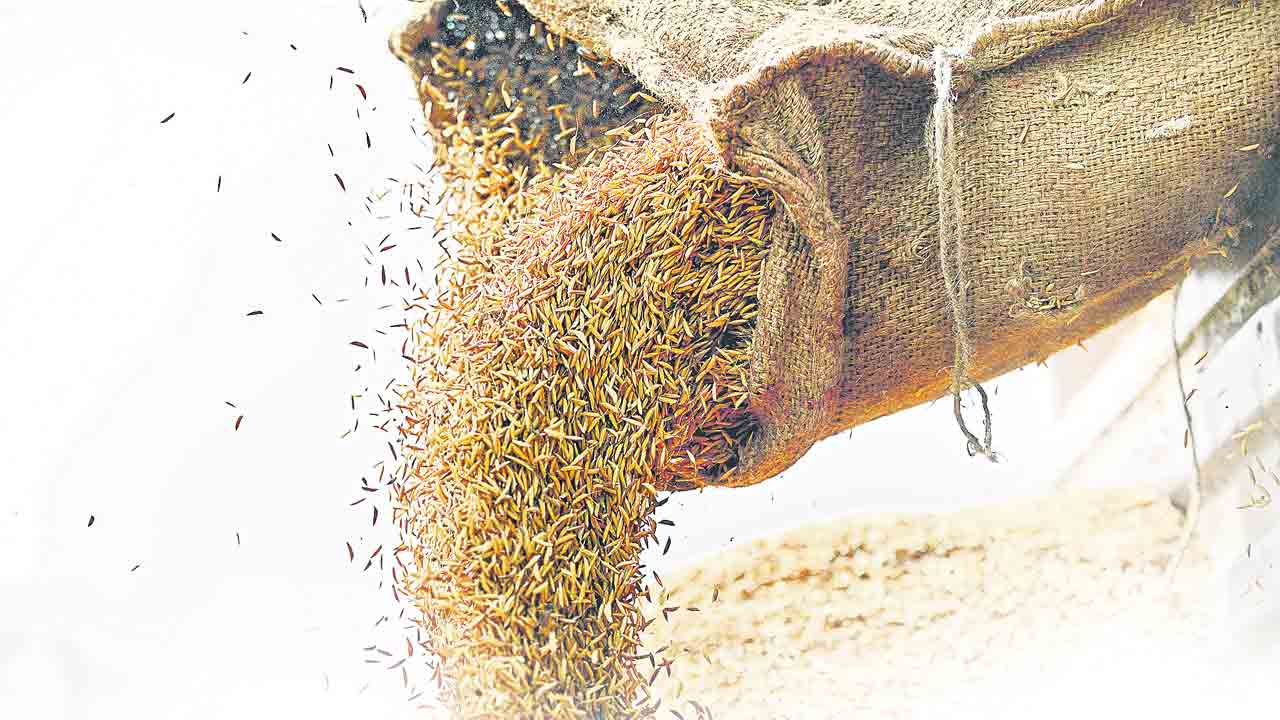 సన్నాలకు భలే డిమాండ్‌