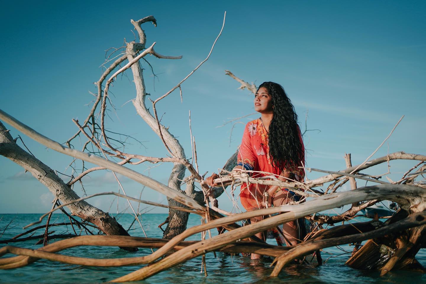 ( Photos : Instagram )