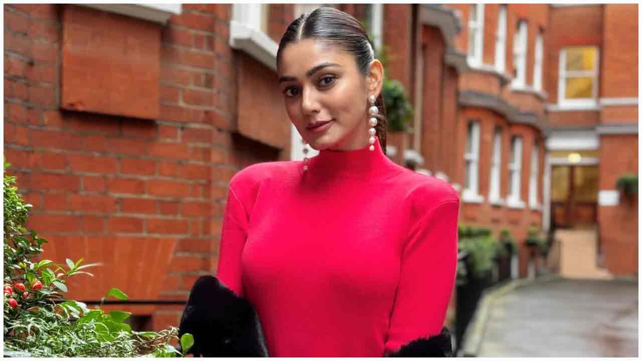 Sana Makbul Khan | పింక్ డ్రెస్‌లో కేకపుట్టిస్తున్న సనా మక్బుల్ ఖాన్..