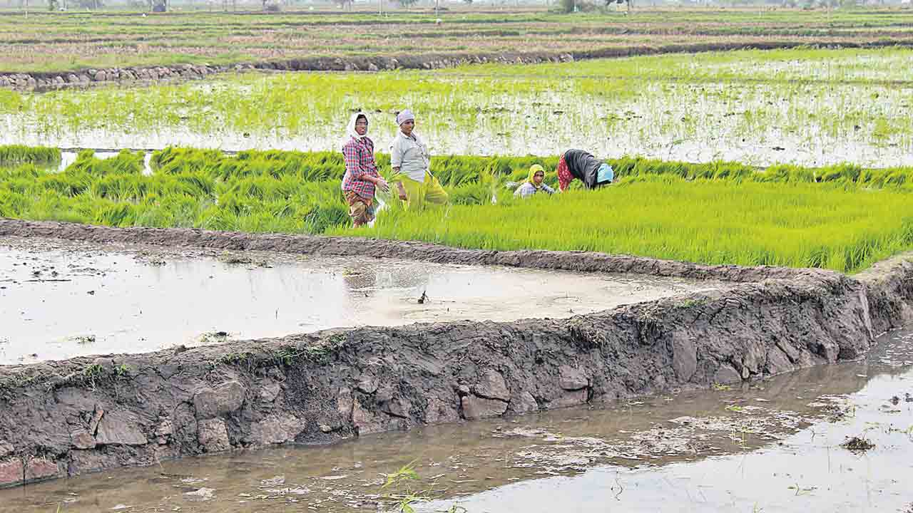 ప్రణాళిక సిద్ధం