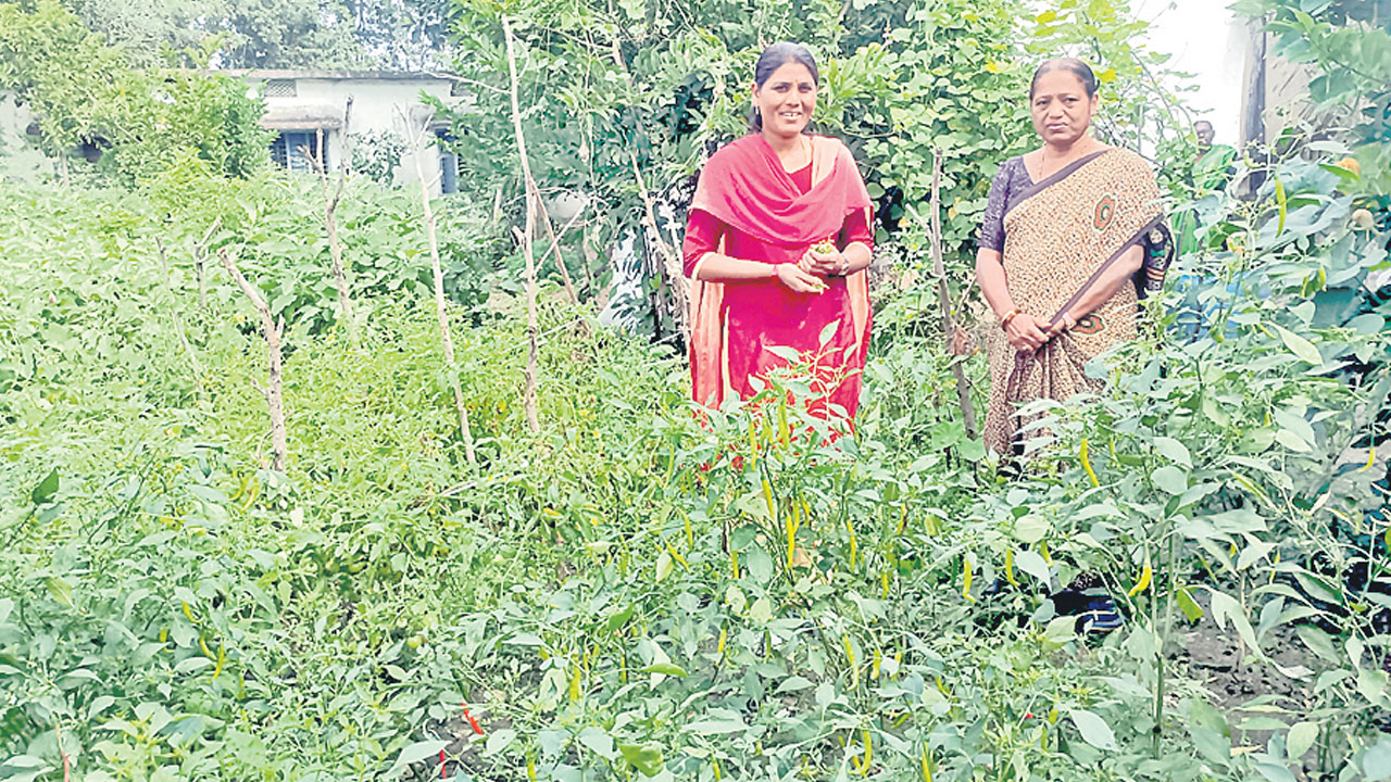 Inspiration | సాగు’బడి’.. సేంద్రియ పద్ధతిలో 19 రకాల పంట.. వాటితోనే స్కూల్లో మధ్యాహ్న భోజనం