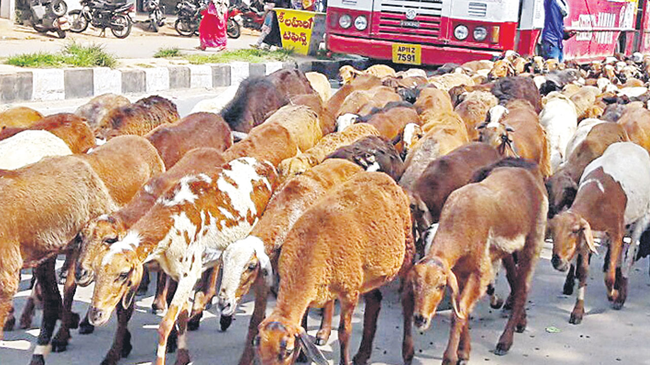 అప్రమత్తతతోనే జీవాలకు రక్షణ