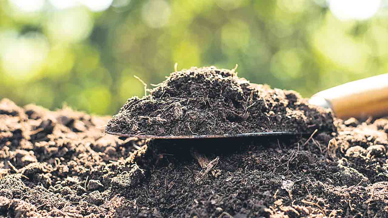 మట్టితోనే మనిషి మనుగడ