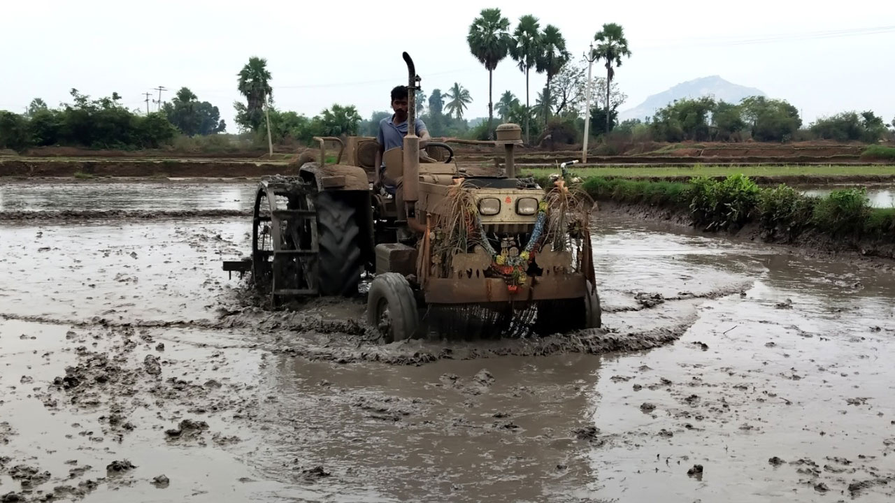 యాసంగి బాటలో…