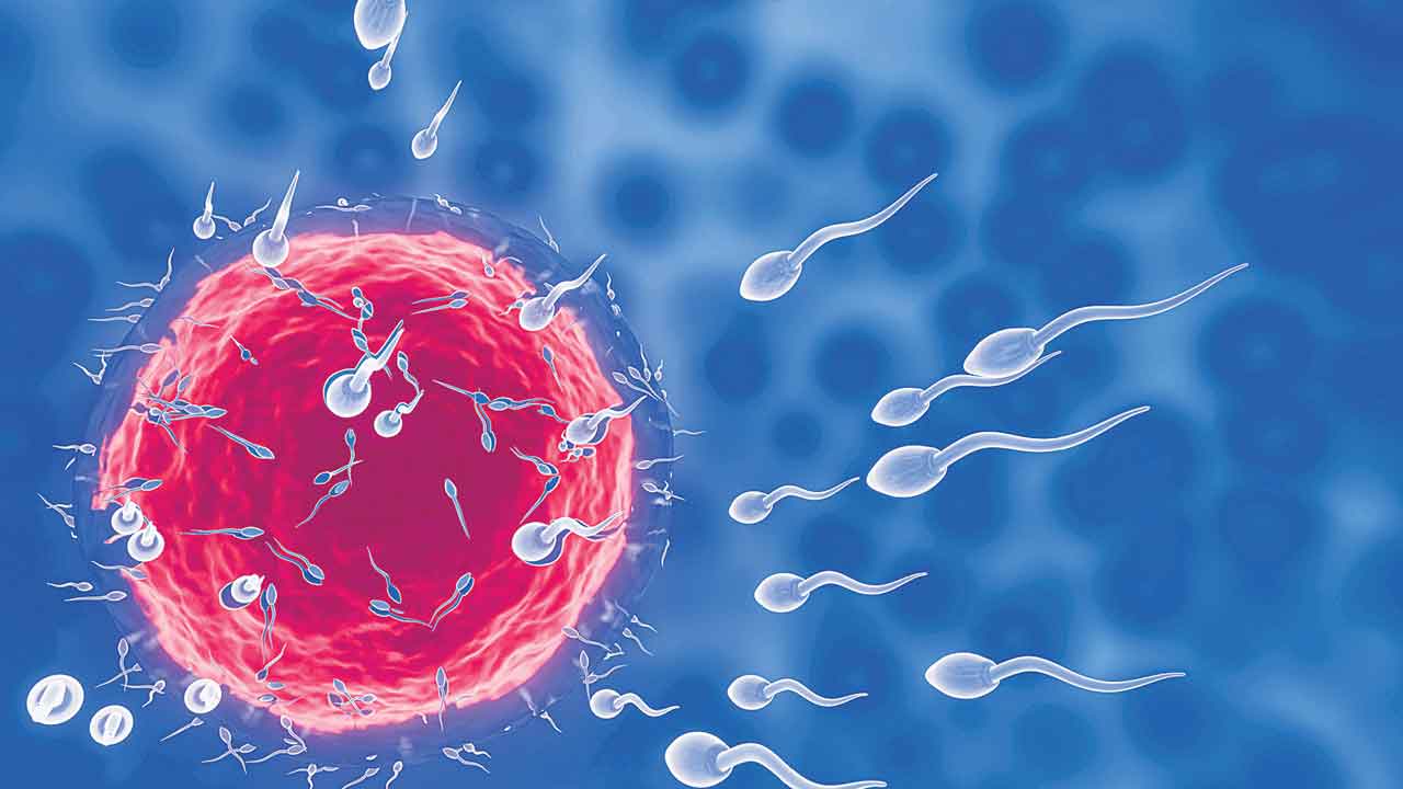 Health Tips | వీర్య కణాల సంఖ్య తగ్గొద్దంటే ఈ జాగ్రత్తలు తప్పనిసరి