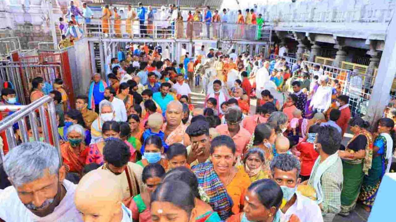 Vemulawada | వేములవాడకు పోటెత్తిన భక్తులు.. రాజన్న దర్శనానికి 3 గంటల సమయం