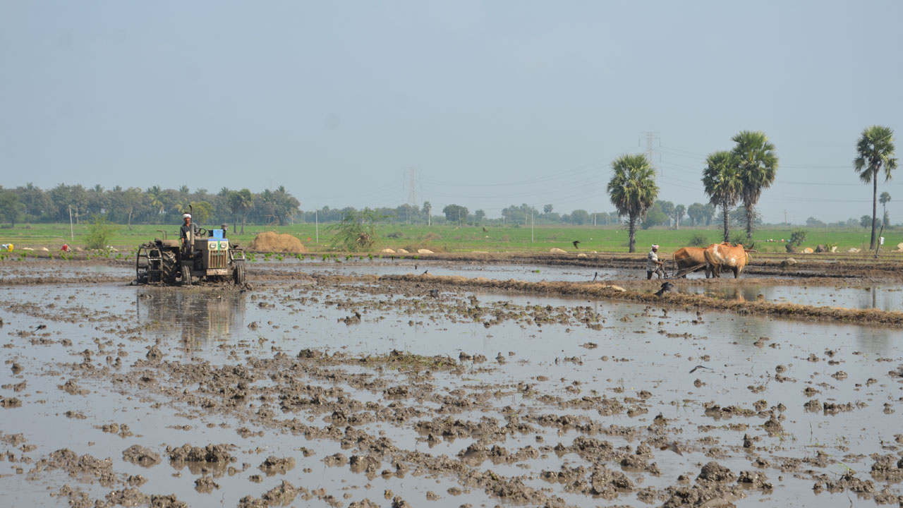 పంటకు పెట్టుబడేది