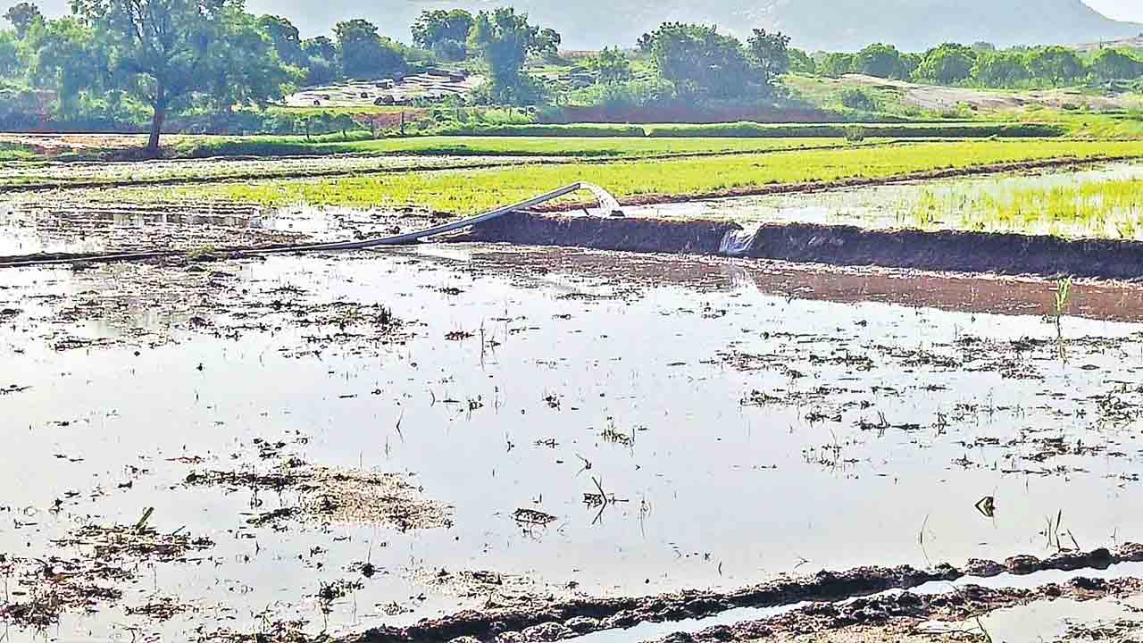 యాసంగి సేద్యానికి రెడీ