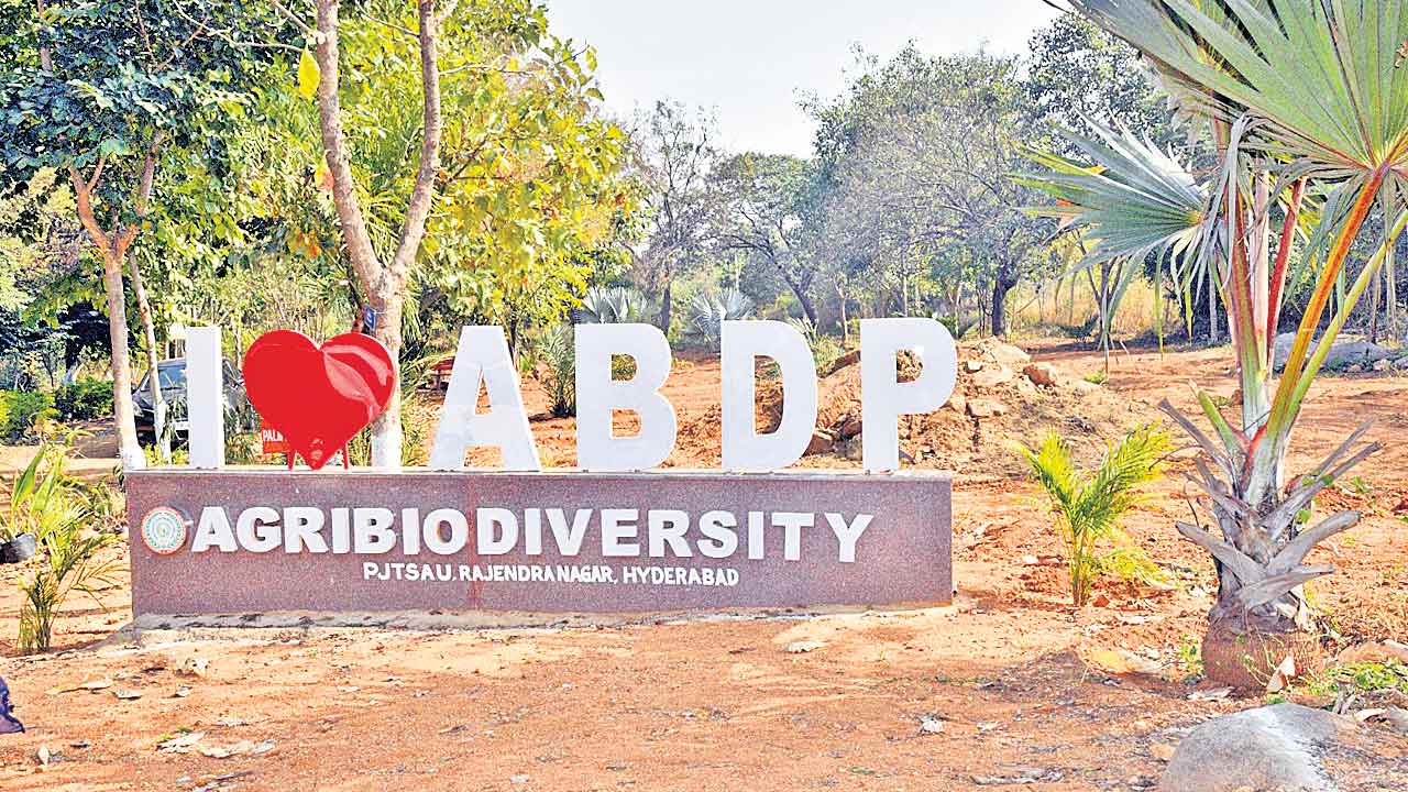 TS Govt | జీవవైవిధ్యానికి ఇక మరణశాసనమే..! వ్యవసాయ వర్సిటీ భూముల్లో కొత్త హైకోర్టు సర్కార్‌ యోచన..!