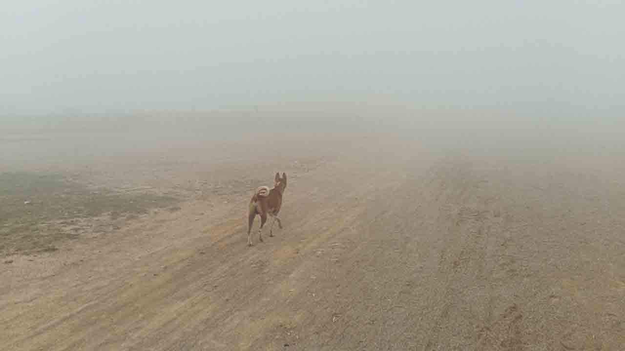 వణికిస్తున్న ‘మిగ్‌జాం’