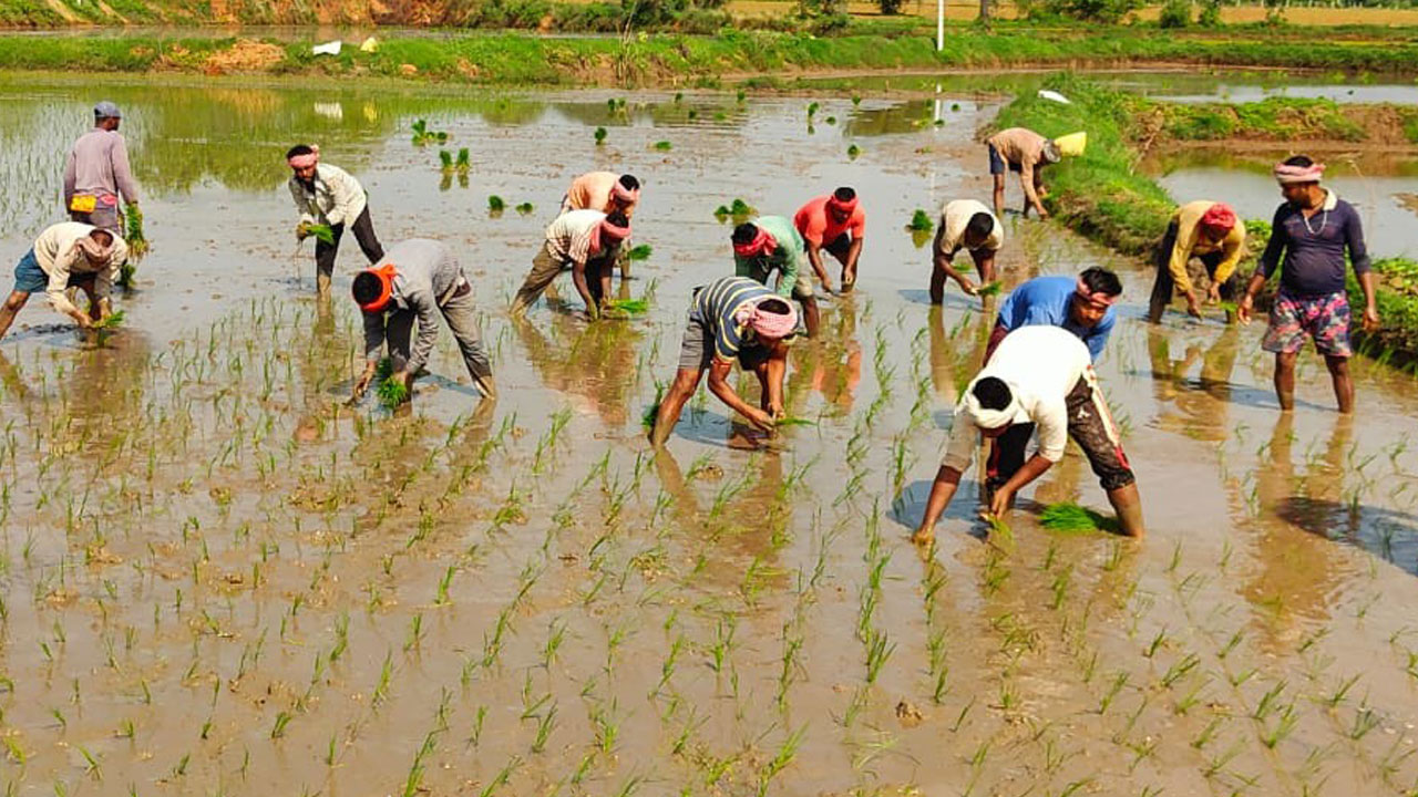 యాసంగిషురూ