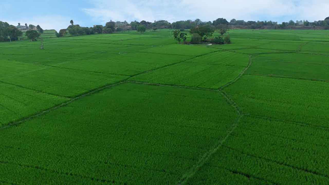 భూమాత కోసం ఎంపీకి బృందం!