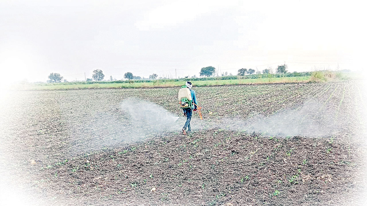 Farm Safety Tips | రసాయన మందులు పిచికారీ చేసే రైతులు ఈ  జాగ్రత్తలు తప్పక పాటించాలి