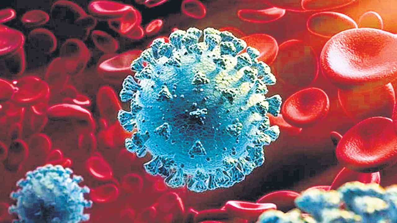 2 నెలల పసిపాపకు కరోనా