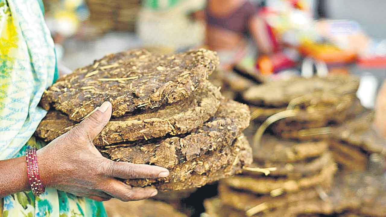 Biomethane | ఆవు పేడతో పనిచేసే రాకెట్‌ ఇంజిన్‌.. విజయవంతంగా నడిపించిన జపాన్‌ సైంటిస్టులు