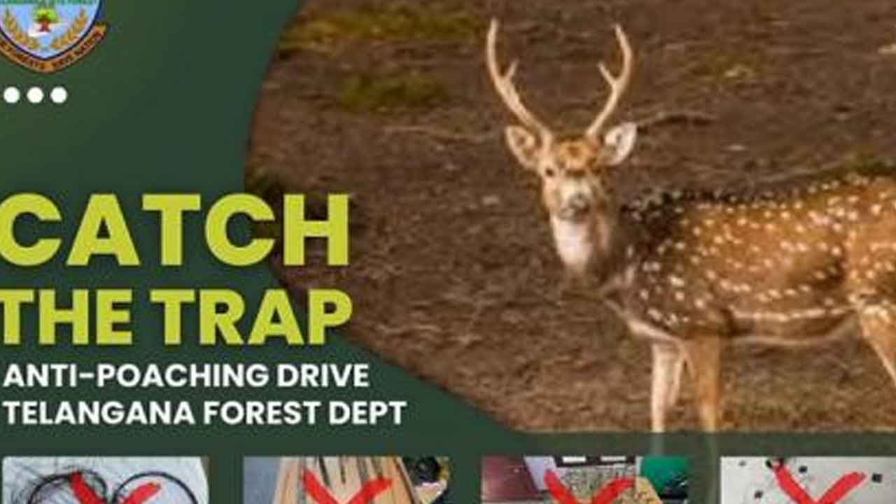 వన్యప్రాణుల వేట నిరోధానికి స్పెషల్‌ డ్రైవ్‌