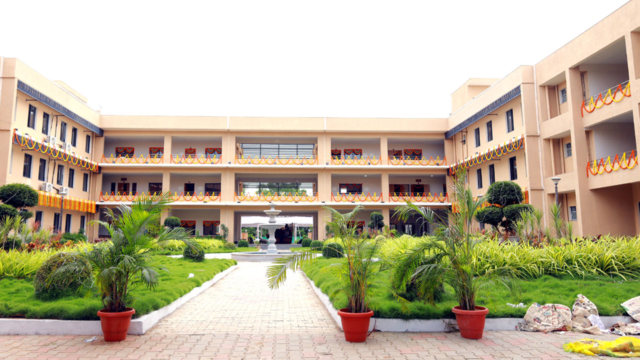 Peddapalli | పురాతన వస్తువులు, వృక్ష శిలాజాలతో పెద్దపల్లి కలెక్టరేట్‌లో నయా మ్యూజియం