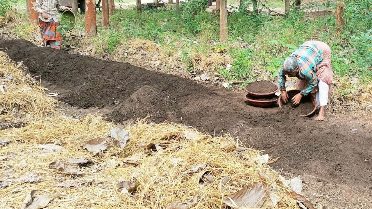భూసారం.. పంటలకు మూలాధారం