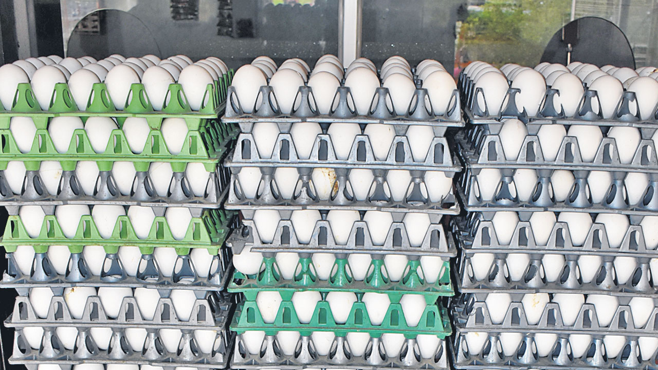 ఉడకబెట్టి తింటేనే వెరీగుడ్డు..