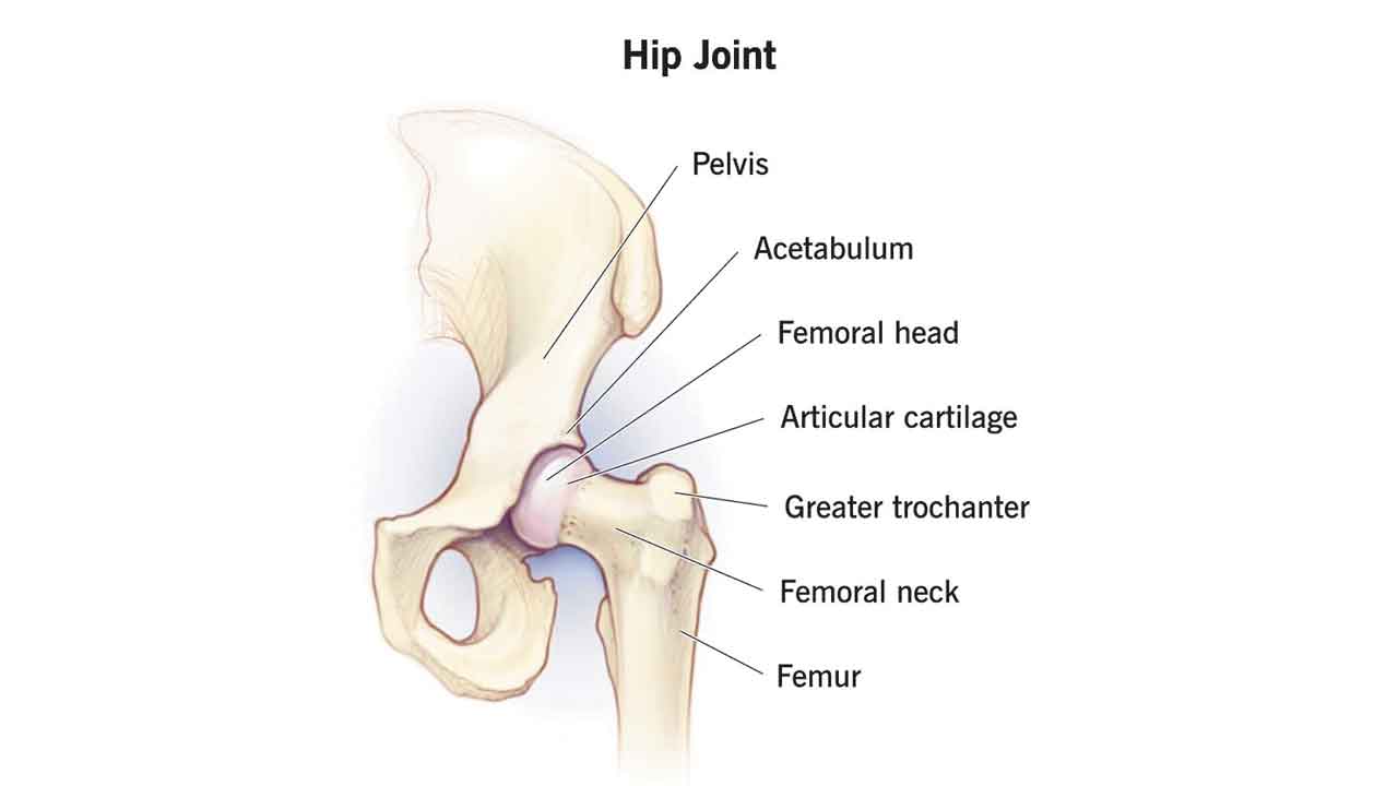 Calcium |  60 దాటితే ఎముకలు బలహీనం.. వయసు పెరుగుతున్న కొద్దీ శరీరంలో తగ్గుతున్న కాల్షియం