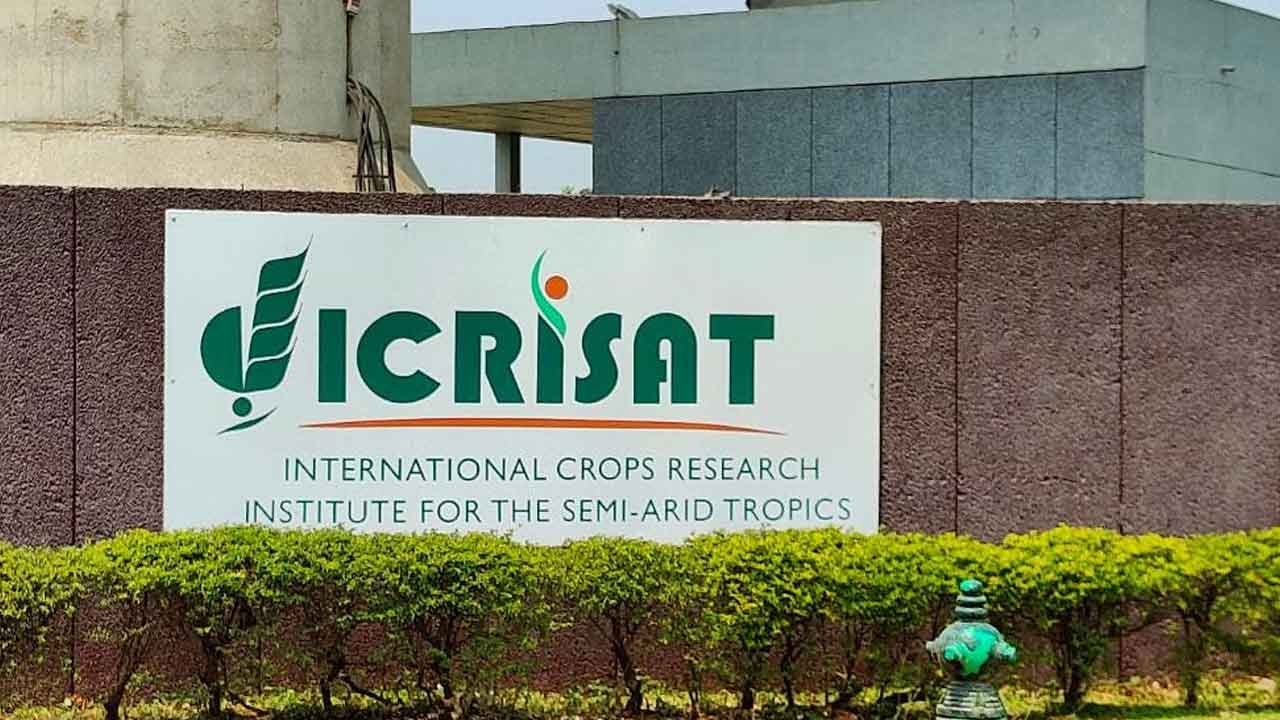 చిరుధాన్యాలే ప్రత్యామ్నాయం