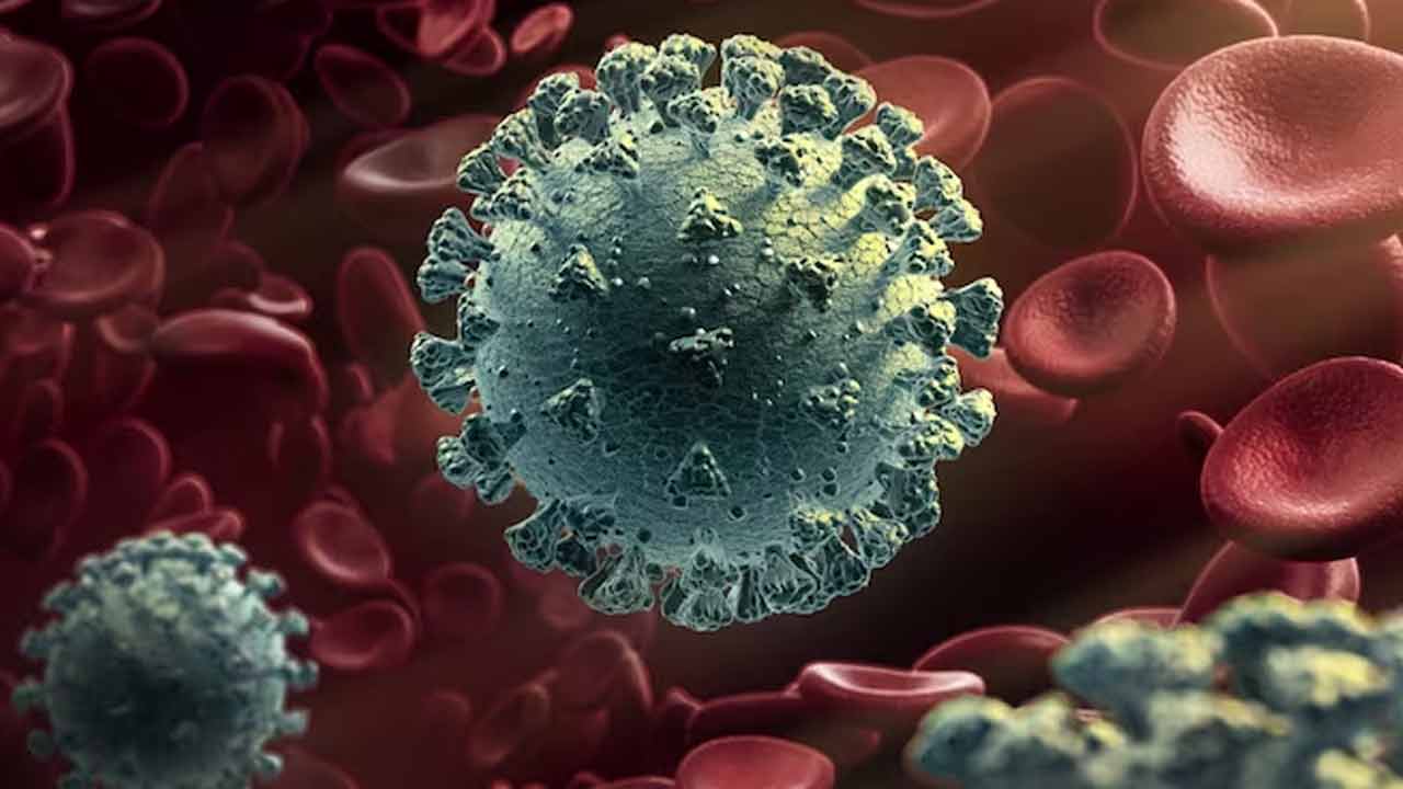 JN.1 Variant: ఏంటీ జేఎన్.1 కోవిడ్ వేరియంట్.. ఆ వైర‌స్ ల‌క్ష‌ణాలు ఏంటో తెలుసా?