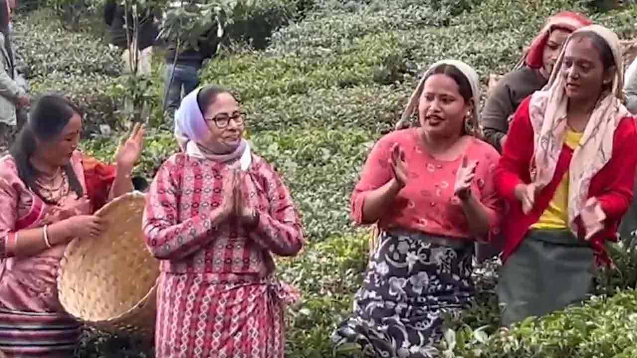 CM Mamata | టీ గార్డెన్ వ‌ర్క‌ర్స్‌తో బెంగాల్ సీఎం మ‌మ‌త‌ డ్యాన్స్.. వీడియో