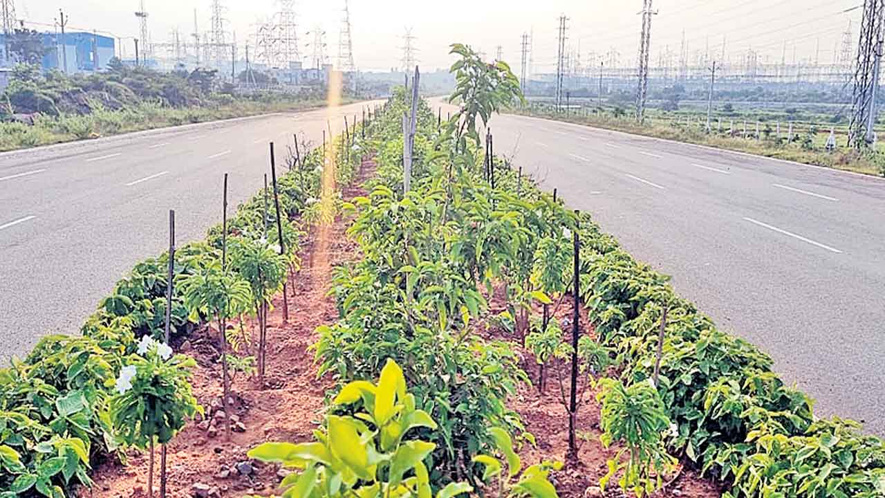 Pharma City | ఫార్మాసిటీ రద్దుతో గందరగోళం.. రైతుల భూములు వెనక్కిచ్చేస్తారా?