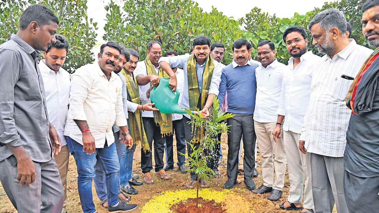 గ్రీన్‌ ఇండియా చాలెంజ్‌ను కొనసాగిస్తాం