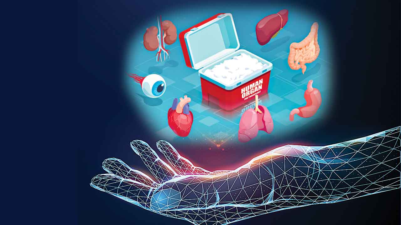 బతుకుదాం.. కలకాలం