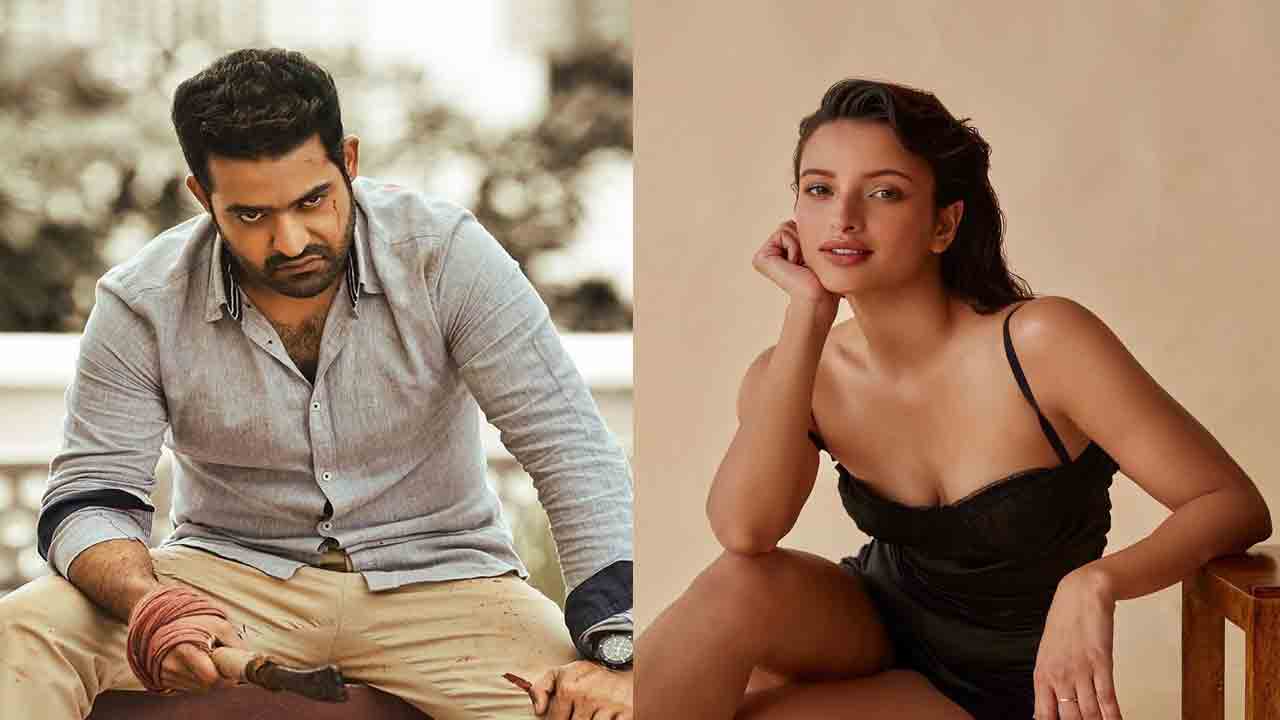 Tripti Dimri | తార‌క్‌తో నటించాలని ఉందంటూ మనసులో కోరికను బయటపెట్టిన ‘యానిమ‌ల్’ భామ