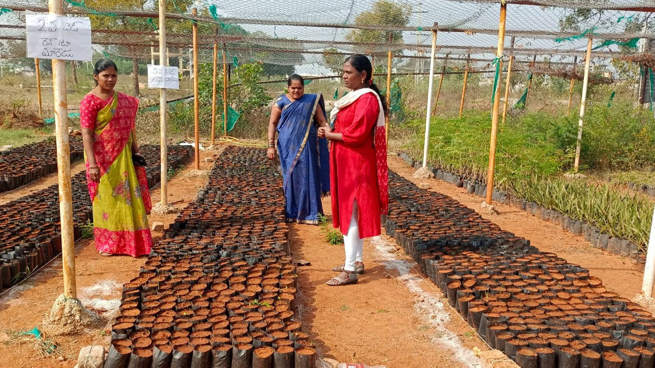 మొక్కవోని దీక్ష